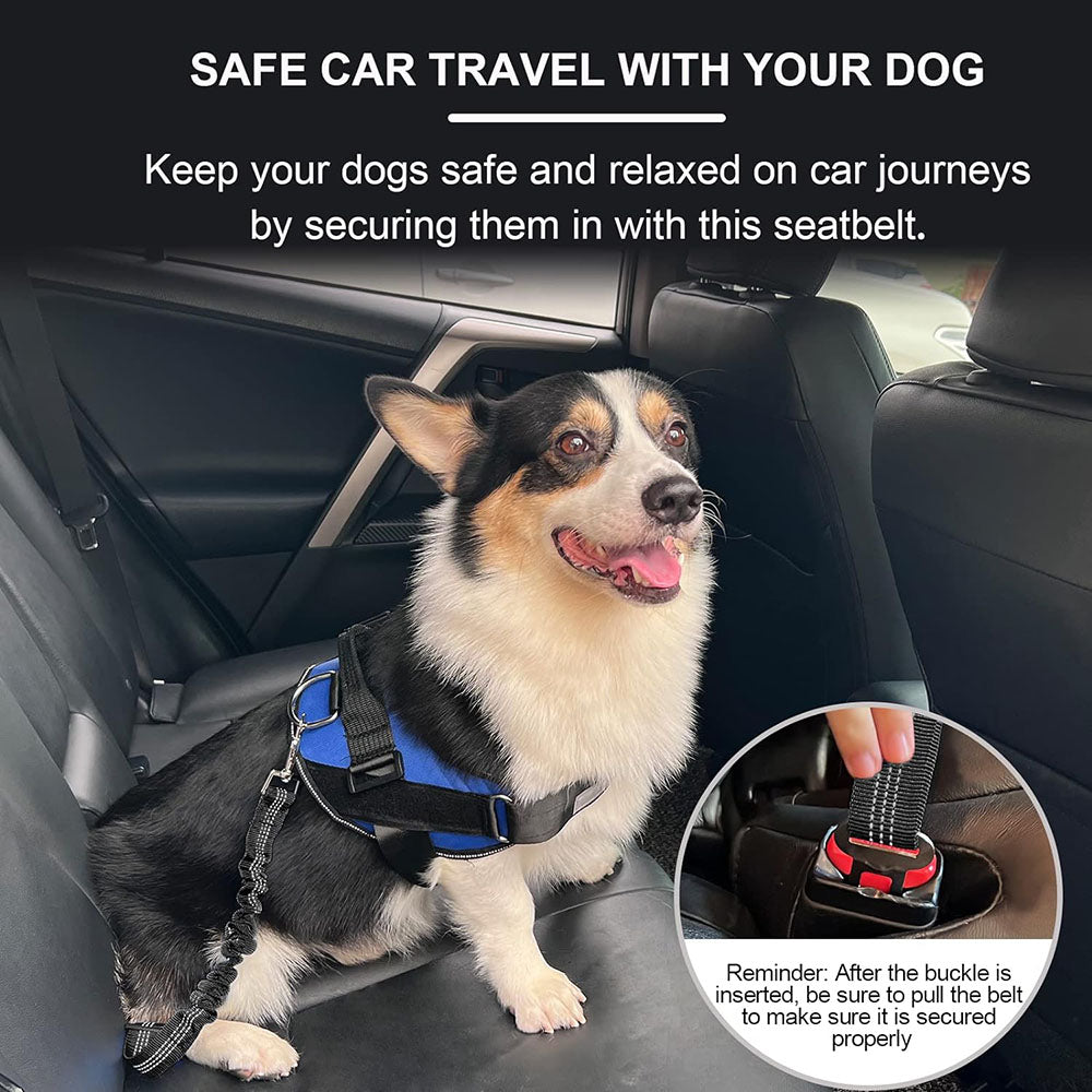 PawSecure™ Car Safety Belt